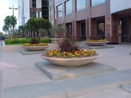 Nexus Fiberglass Low Bowl